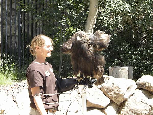 Shaking those tail feathers!