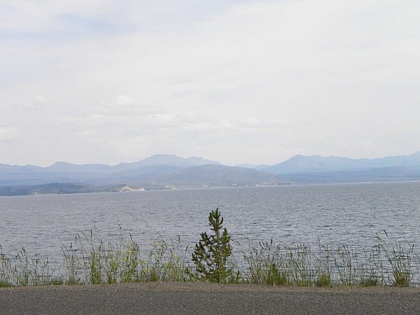 The view from the Lake Lodge deck in Yellowstone National Park.