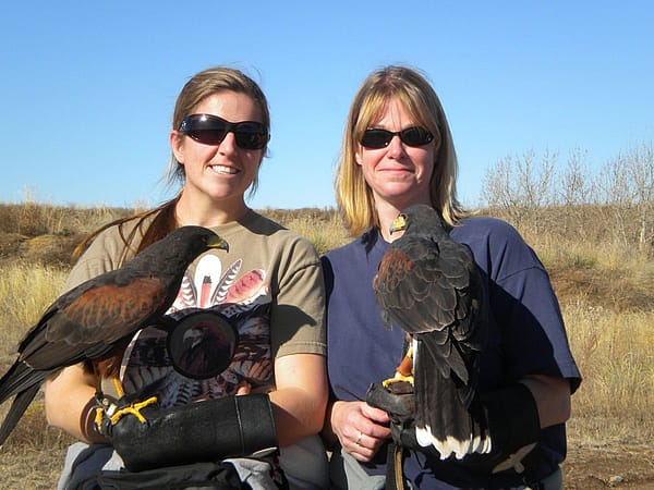 Melissa & friend, Jessica, with Harris' Hawks during a hunting trip.