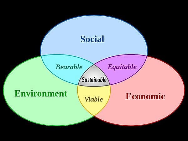 The Center has discovered that sustainability is a complex issue with many facets as illustrated by this commonly-used diagram.