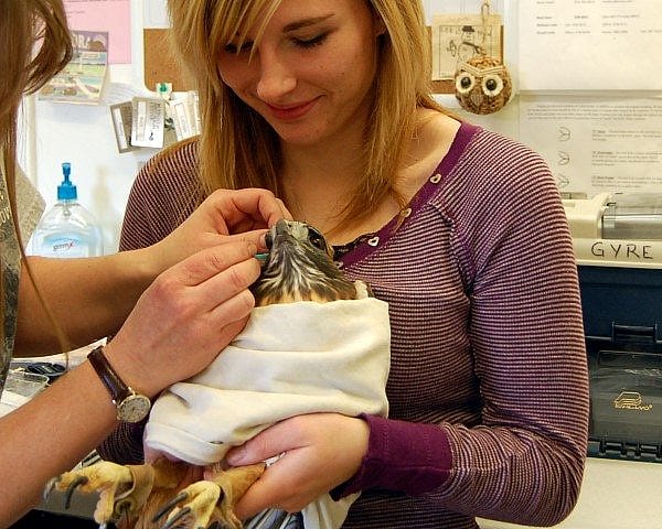 Cleaning out Isham's "eye".