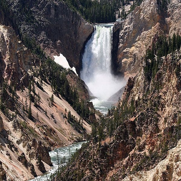Lower Falls of the Yellowstone. Nancy McClure photo.