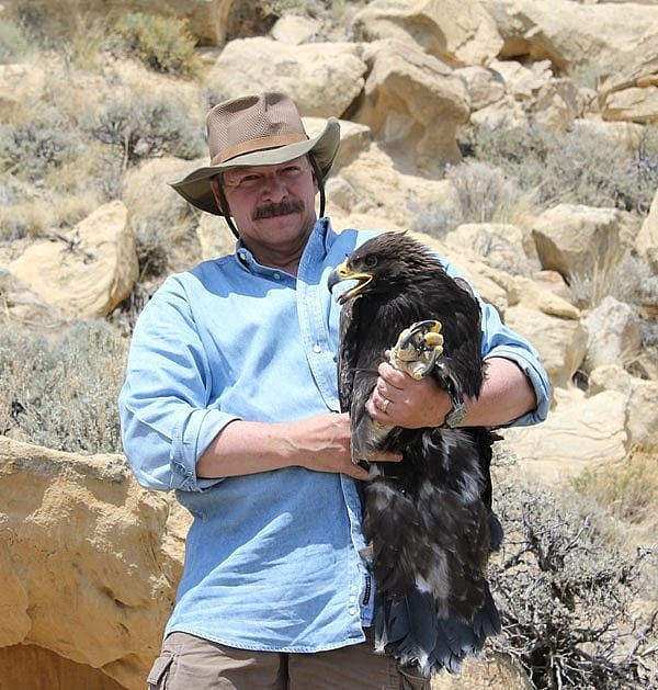 2012 fledging