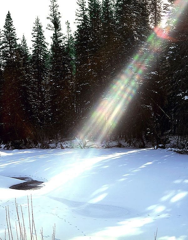 A melting snow bank, running stream and a sliver of sunlight mean spring is on its way in Wyoming's Sunlight Basin, 2002. Chris Gimmeson phooto.