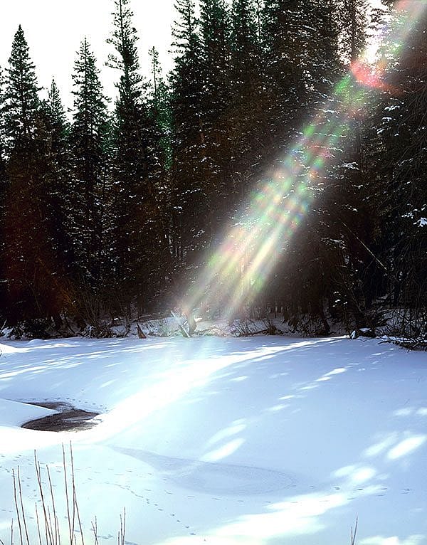 A melting snow bank, running stream and a sliver of sunlight mean spring is on its way in Wyoming's Sunlight Basin, 2002. Chris Gimmeson phooto.