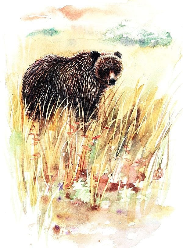 Illustration by Barbara Harmon.