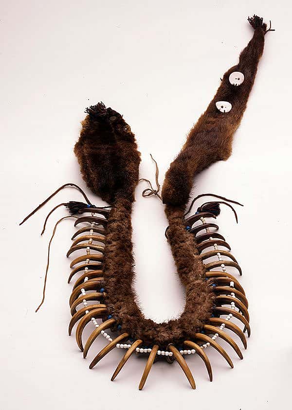 A Treasure from Our West: Grizzly bear claw necklace. NA.203.1413