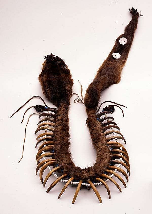 A Treasure from Our West: Grizzly bear claw necklace. NA.203.1413