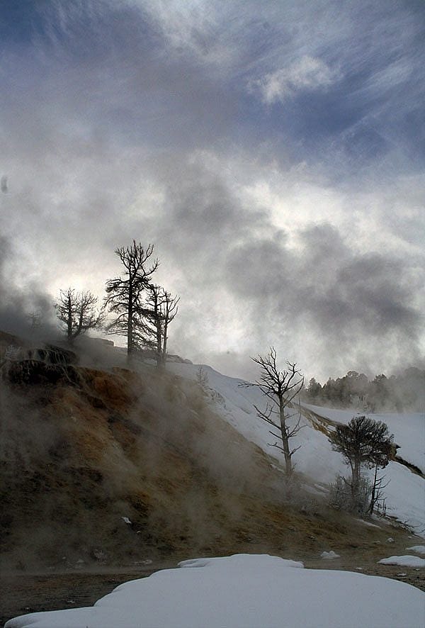 Winter in Yellowstone: Mammoth Hot Springs