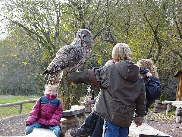 This was taken at a program in Germany several years ago. Please note that this is not allowed in the US so don't ask if you can hold one of our birds!