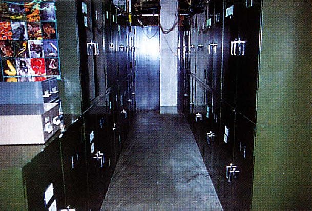 The tradition of natural history museums has been to devote extensive, specialized facilities to the storage of ever-growing research collections. As expenses associated with maintenance of these collections escalates, fewer institutions are able to justify this commitment. Photo by C.R. Preston.