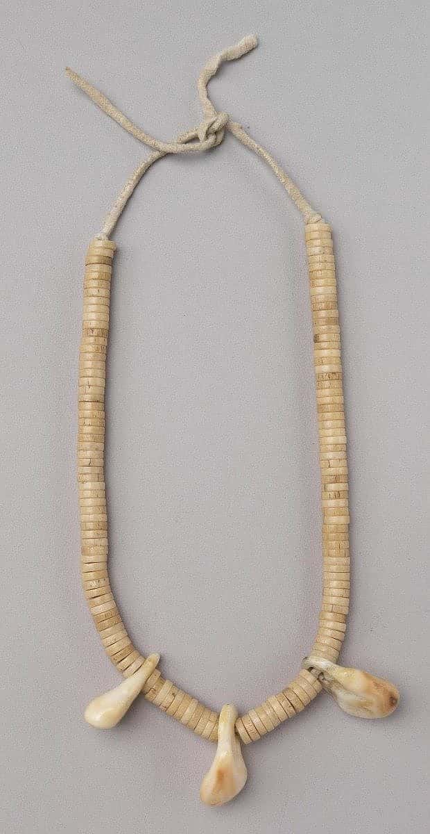 Cheyenne Necklace with shell beads and elk ivories, ca. 1900. NA.203.24