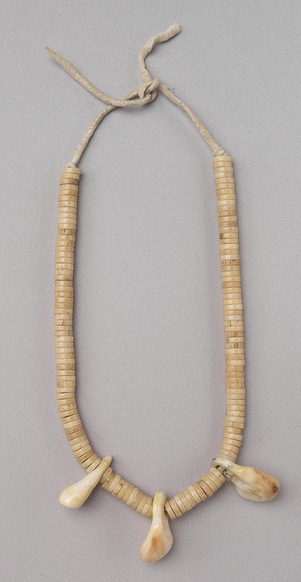 Cheyenne Necklace with shell beads and elk ivories, ca. 1900. NA.203.24