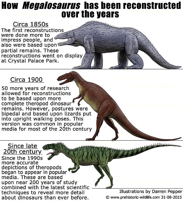 Megalosaurus changes through time