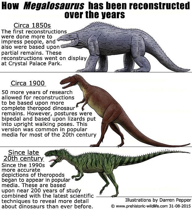 Megalosaurus changes through time