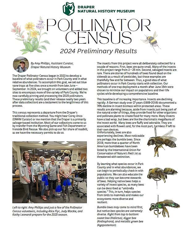 Pollinator Census 2024