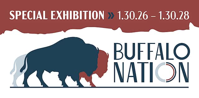Buffalo Nation