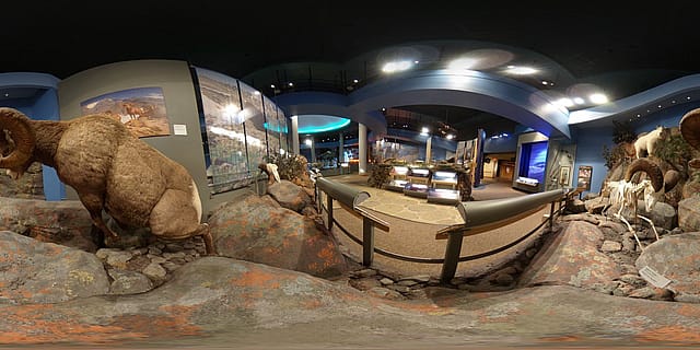 360 Adventure Alpine