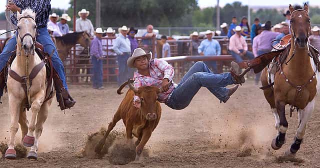 Crow Fair bulldogger 1, Crow Fair, Crow Agency, Montana, 2009. Photo by Ken Blackbird. Gift of Ken Blackbird, P.426.05389