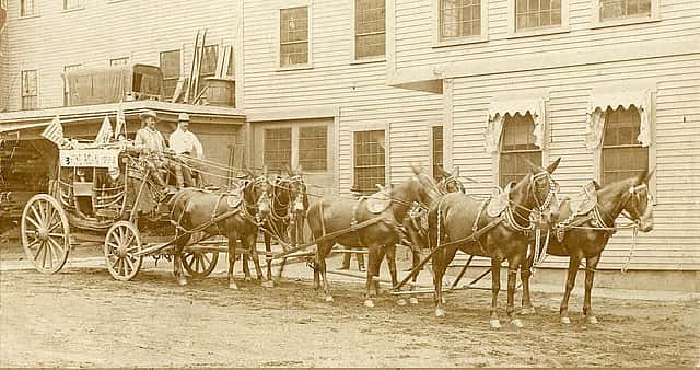 William F. Cody driving a stagecoach in 1895. MS 6 William F. Cody Collection, McCracken Research Library. P.6.0511
