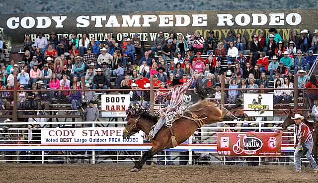 Sterling Crawley of Stephenville, Texas, competing in saddle bronc during the Cody Stampede Rodeo, July 1, 2016. Raymond Hillegas photo courtesy the Cody Enterprise.