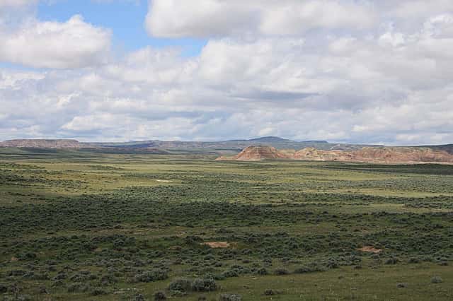 The still vast, virtually intact sagebrush-steppe ecosystem of Wyoming's Bighorn Basin remains a stronghold for the golden eagle and the Spirit of the American West. Photo by C.R. Preston.