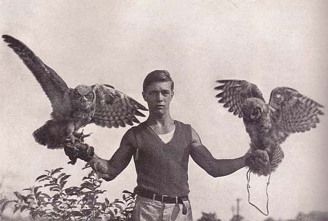 Two great horned owls, eager to be on the wing, are perched on Frank Craighead's gloved fists, page 124. (detail)