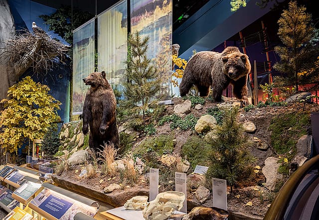 Draper Natural History Museum. John Harris, 2022.