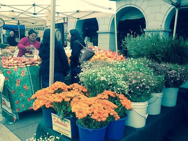 The beauty of San Francisco's Farmer's Market