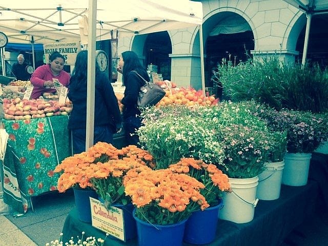 The beauty of San Francisco's Farmer's Market
