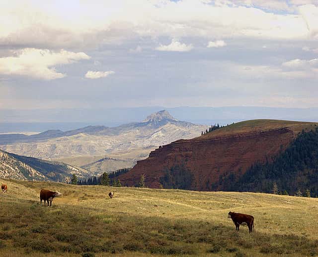 Heart Mountain from Rattlesnake Mountain to the west, September 9, 1972. MS 089 Jack Richard Photograph Collection, McCracken Research Library. PN.89.62.11561.01 (detail)