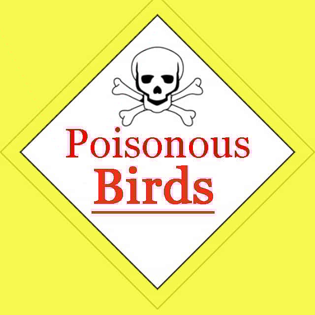 A warning sign that alerts people that some birds can be poisonous.