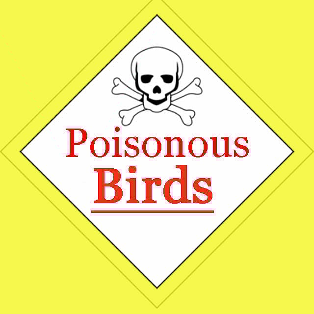 A warning sign that alerts people that some birds can be poisonous.
