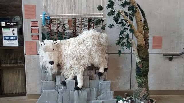 The Center was hosting a small exhibit on fiber arts. It was incredible as you can see by this mountain goat!