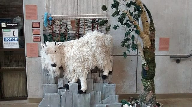 The Center was hosting a small exhibit on fiber arts. It was incredible as you can see by this mountain goat!