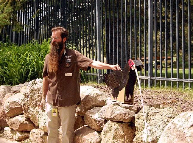Man with a vomiting vulture cut-out.