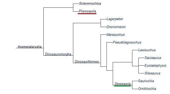 Dinosaur and pterosaur phylogenetic tree