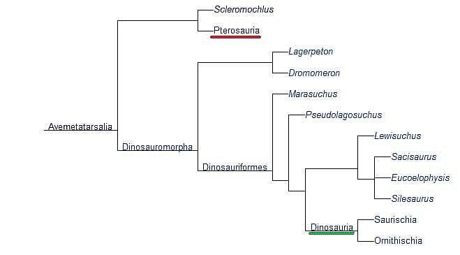 Dinosaur and pterosaur phylogenetic tree