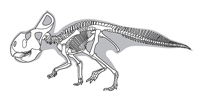 Protoceratops