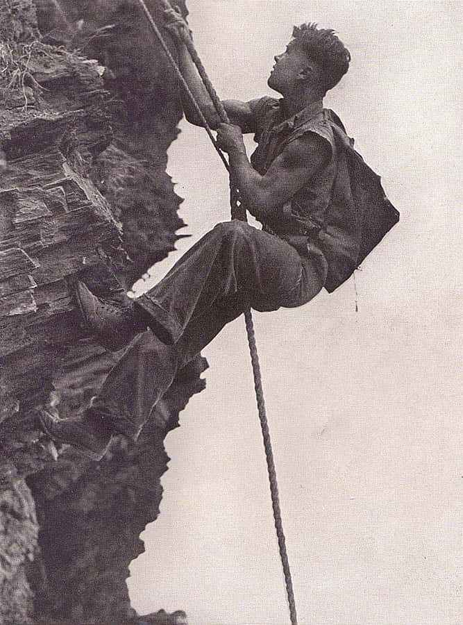 John Craighead lowers himself to a nest of red-shouldered hawks, page 111.