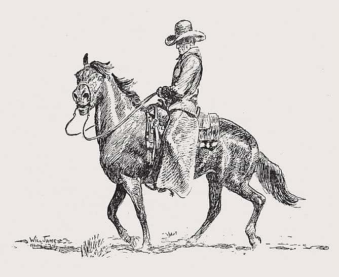 A cowboy sketch from the Will James book, "Smoky." James ended his last book, "The American Cowboy," with the words, "The cowboy will never die." Willis McDonald IV Collection.