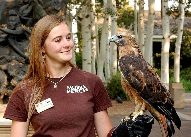 Nicole and Isham, the red-tailed hawk,. Isham weighs 2 & 1/2 pounds.