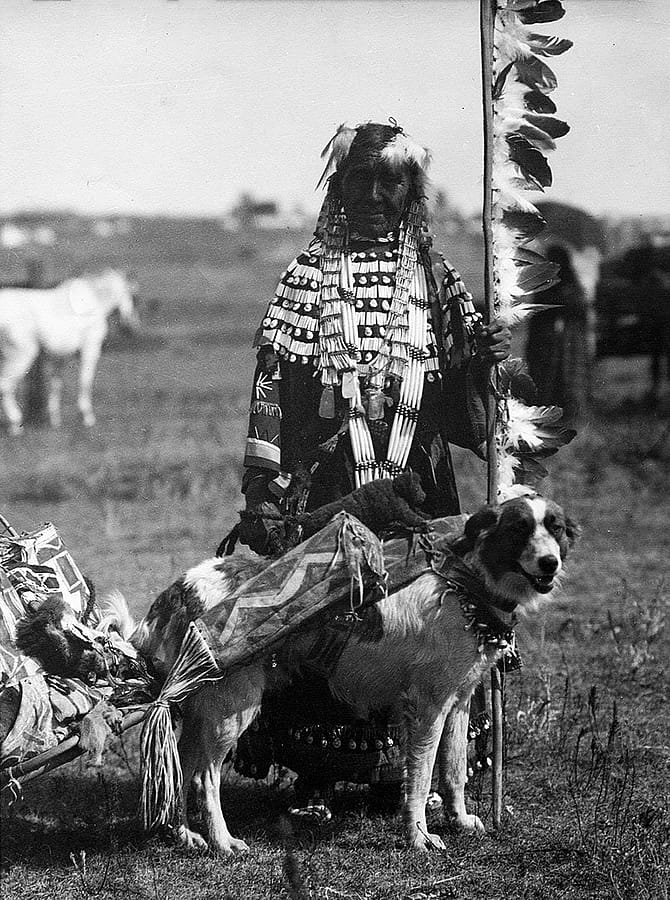 Woman holding staff and dog pulling travois, ca. 1880-1900. MS 35 North American Indian Photograph Collection. P.35.191