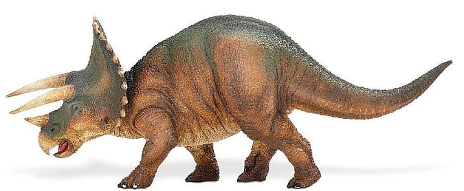 Triceratops