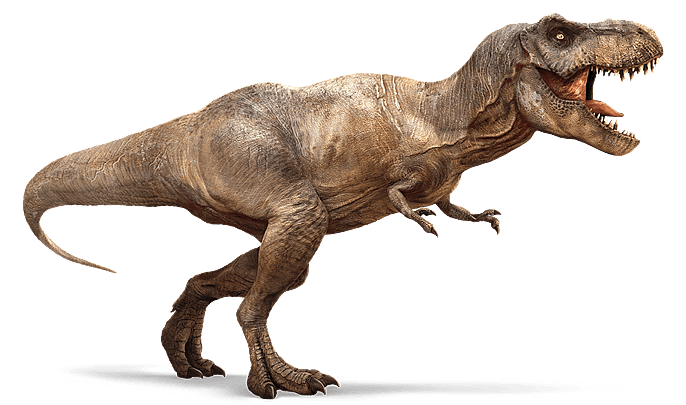 Tyrannosaurus Rex