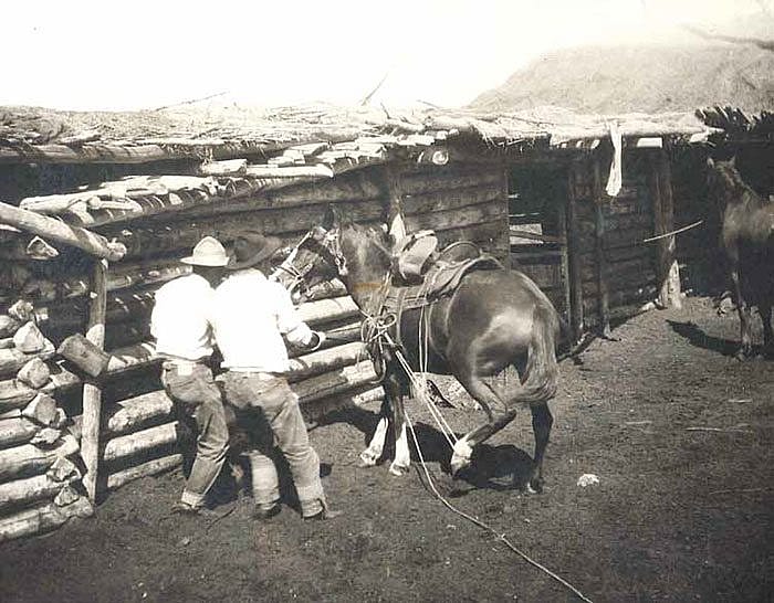 Frank Alexander photo likely used by Remington as a model for "The War Bridle." Image courtesy Peggy Prine, Billings, Montana, and the family of Frank Alexander.