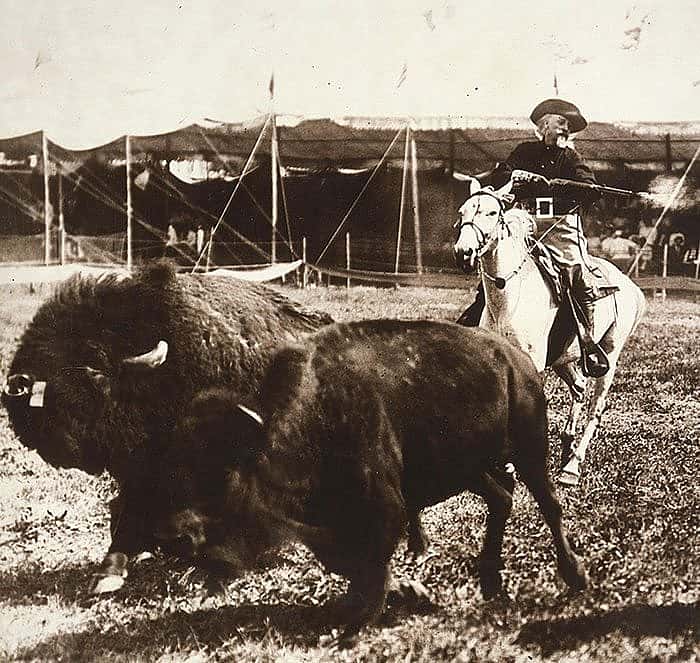 As in his days of hunting buffalo for the Kansas Pacific Railroad, Buffalo Bill demonstrated buffalo hunting in the Wild West arena with live, running buffalo, ca. 1905. MS 6 William F. Cody Collection, McCracken Research Library. P.69.1002