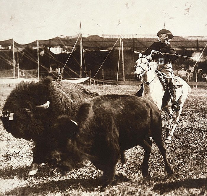 As in his days of hunting buffalo for the Kansas Pacific Railroad, Buffalo Bill demonstrated buffalo hunting in the Wild West arena with live, running buffalo, ca. 1905. MS 6 William F. Cody Collection, McCracken Research Library. P.69.1002