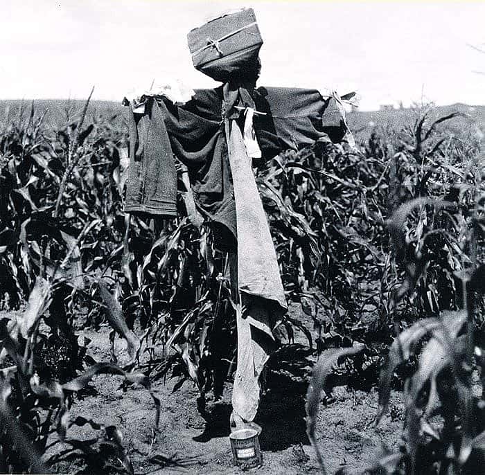 Owl Woman, Nuxbaaga (Hidatsa), with an antler rake. Fort Berthold Reservation, North Dakota. Gilbert Wilson, 1914. Minnesota Historical Society.