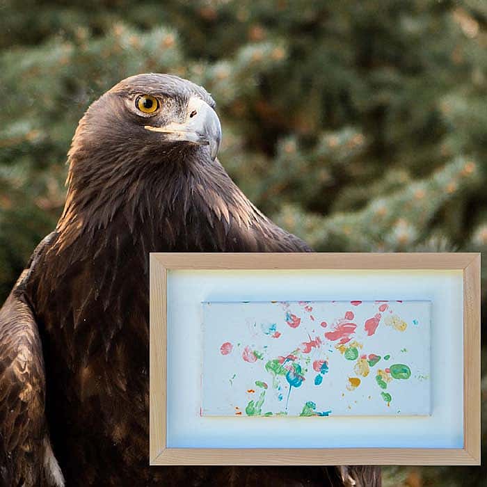 Patrons Ball Silent Auction: "Bountiful Harvest" painting by Kateri the golden eagle